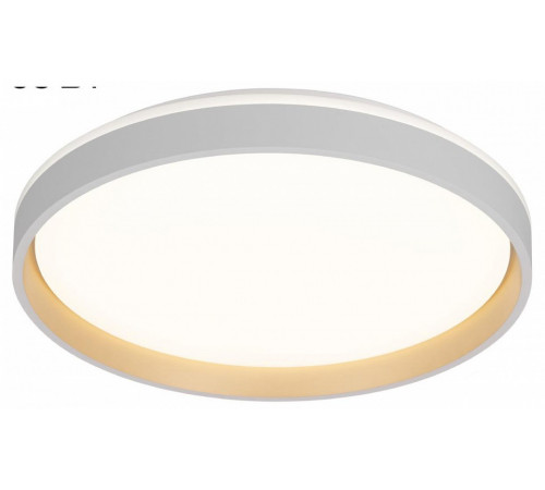 Потолочный светильник Citilux Enzo CL753450G