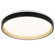 Потолочный светильник Citilux Enzo CL753451G