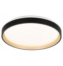 Потолочный светильник Citilux Enzo CL753451G