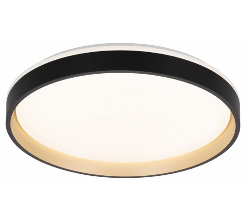 Потолочный светильник Citilux Enzo CL753451G