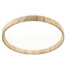 Потолочный светильник Citilux Enzo CL753452G