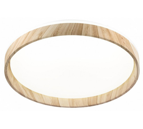 Потолочный светильник Citilux Enzo CL753452G