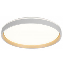 Потолочная люстра Citilux Enzo CL753510G