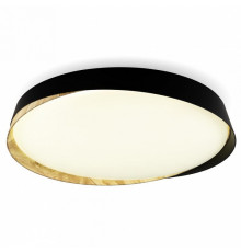 Потолочный светильник Citilux Bonny CL754451G