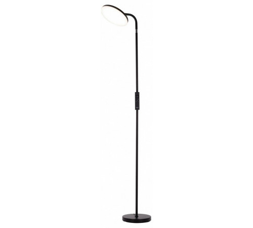Торшер Citilux Solo CL804061