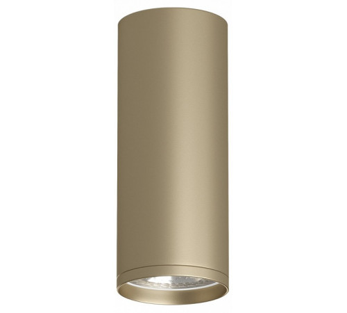 Накладной светильник Denkirs Tube DK2051-SG Накладной светильник Denkirs Tube DK2051-SG