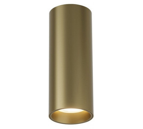 Накладной светильник Denkirs Shine tube DK2615-SB Накладной светильник Denkirs Shine tube DK2615-SB