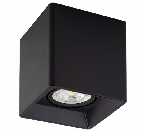 Потолочный светильник Denkirs DK3030-BK Потолочный светильник Denkirs DK3030-BK