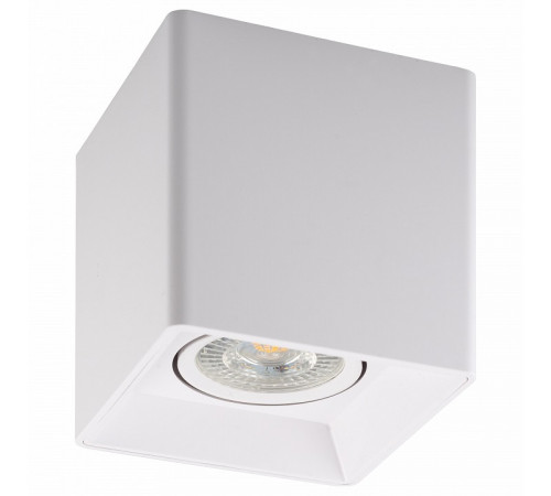 Потолочный светильник Denkirs DK3030-WH Потолочный светильник Denkirs DK3030-WH