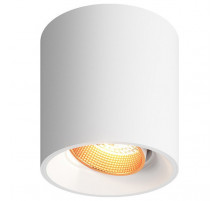 Накладной светильник Denkirs Dk3040 DK3090-WBR