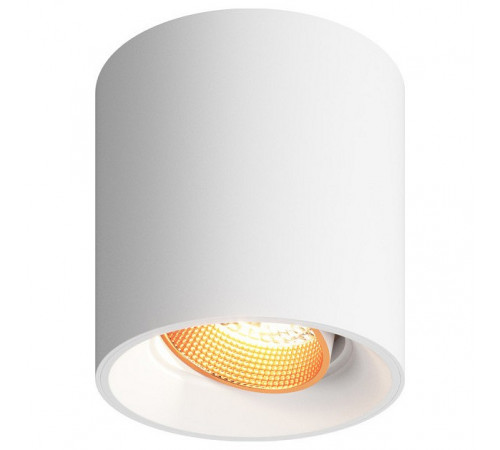 Накладной светильник Denkirs Dk3040 DK3090-WBR Накладной светильник Denkirs Dk3040 DK3090-WBR