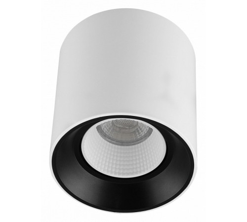 Накладной светильник Denkirs DK3090-WB+WH Накладной светильник Denkirs DK3090-WB+WH