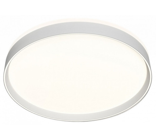 Потолочный светильник Denkirs Plato DK6511-WH/1
