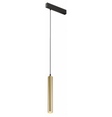 Трековый светильник Denkirs Smart DK8008-BG