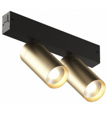 Трековый светильник Denkirs Smart DK8012-BG