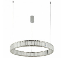 Подвесной светодиодный светильник Divinare Renata 1135/02 SP-36