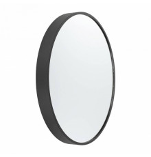 Зеркало декоративное Eglo Bani 425001