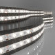Светодиодная влагозащищенная лента Elektrostandard 4,8W/m 60LED/m 2835SMD дневной белый 5M 4690389154867 a050577