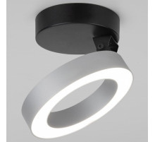 Накладной светильник Elektrostandard Spila 4690389187551 a060186