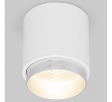 Накладной светильник Elektrostandard Cors 4690389192180 a062387