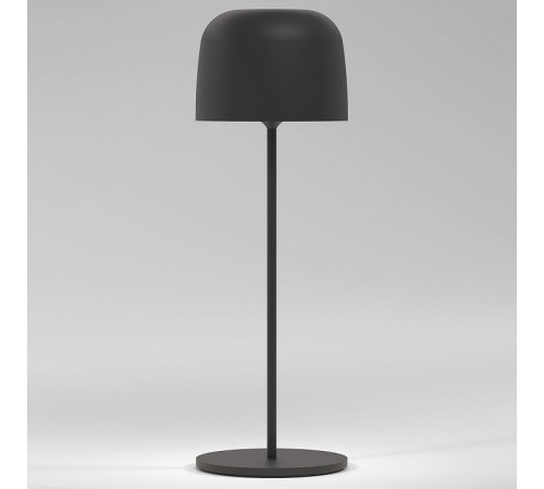 Уличная настольная лампа Elektrostandard Bitty TL70260 4690389211638 a069002 Уличная настольная лампа Elektrostandard Bitty TL70260 4690389211638 a069002
