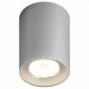 Накладной светильник ЭРА OL1 GU10 SL/CH Б0041504