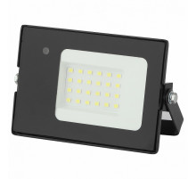 Прожектор светодиодный ЭРА LPR-041-1-65K-020 Б0043574