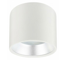 Накладной светильник ЭРА OL8 GX53 WH/SL Б0048537