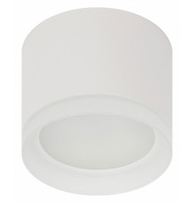 Накладной светильник ЭРА OL17 GX53 WH Б0049044