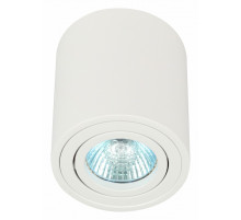 Накладной светильник Эра OL21 WH Б0054392