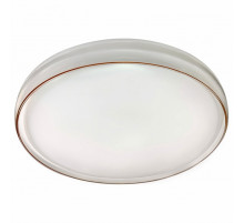 Потолочный светильник Эра SPB-6-80-RC Solar RGBD Б0054483