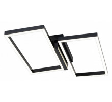 Потолочный светильник Escada Scales 10209/2LED Black