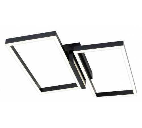 Потолочный светильник Escada Scales 10209/2LED Black