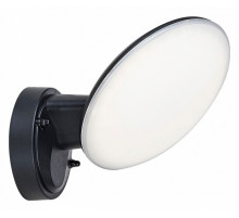 Уличный светодиодный настенный светильник Escada Walk 10215/1LED