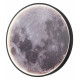 Настенно-потолочный светильник Escada Planet 10226/SG LED Mars
