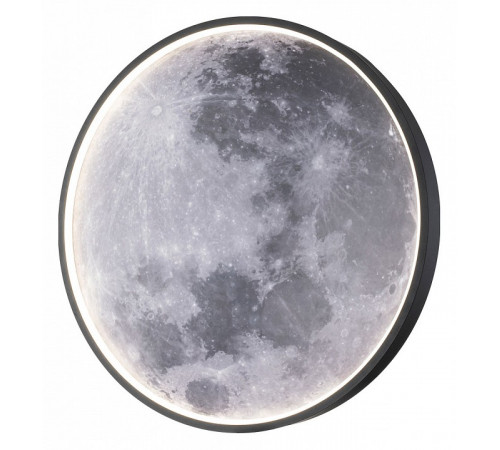 Настенно-потолочный светильник Escada Planet 10226/SG LED Moon