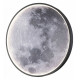 Настенно-потолочный светильник Escada Planet 10226/SG LED Moon