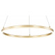 Подвесной светодиодный светильник Escada Void 10254/1LED Gold APP