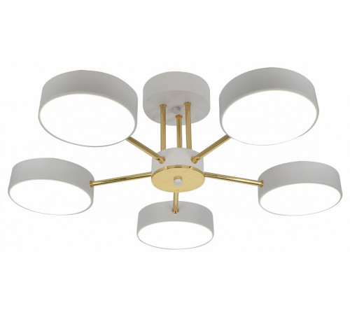 Потолочная люстра Escada Rune 10262/5LED
