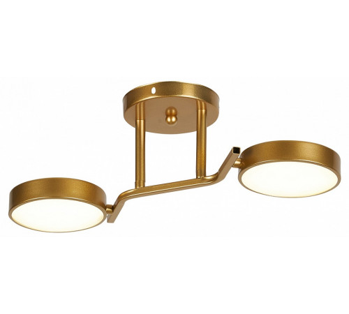 Потолочный светильник Escada Starlight 10273/2LED