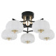 Потолочная люстра Escada Halma 10301/5LED