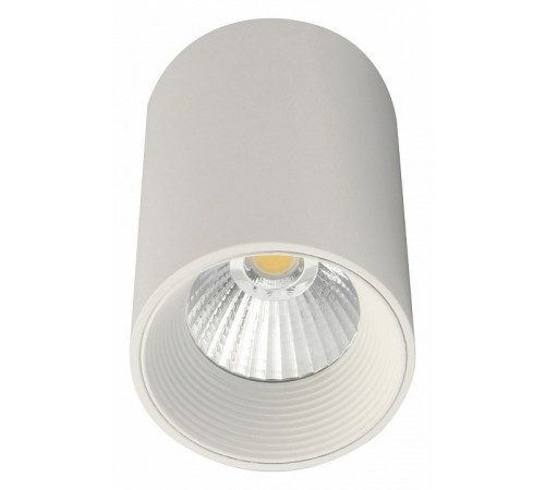 Потолочный светильник 20003 20003SMU/01LED SWH