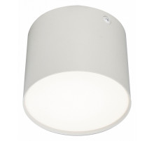 Потолочный светильник 20004 20004SMU/01LED SWH