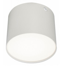 Потолочный светильник 20004 20004SMU/01LED SWH