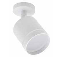 Светодиодный спот 20009 20009SMA/02LED SWH
