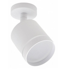 Светодиодный спот 20009 20009SMA/02LED SWH