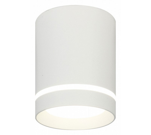 Потолочный светильник 20009 20009SMU/01LED SWH