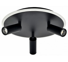 Потолочный светильник Escada 20046SMA/03LED BK