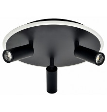 Потолочный светильник Escada 20046SMA/03LED BK