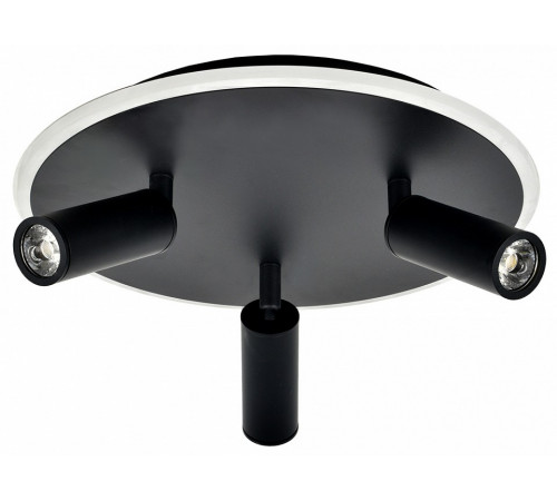 Потолочный светильник Escada 20046SMA/03LED BK